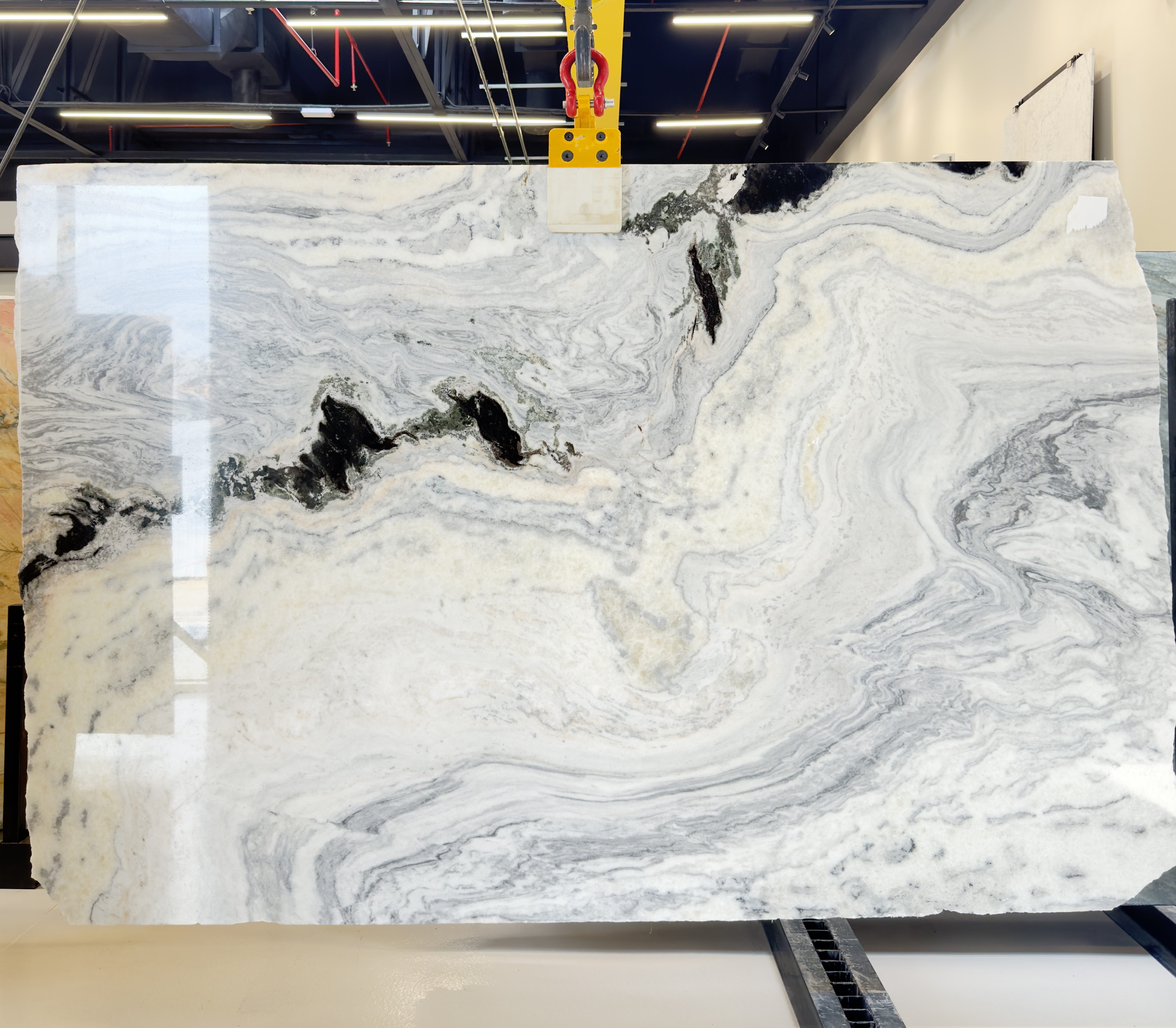 Blue Panda Marble