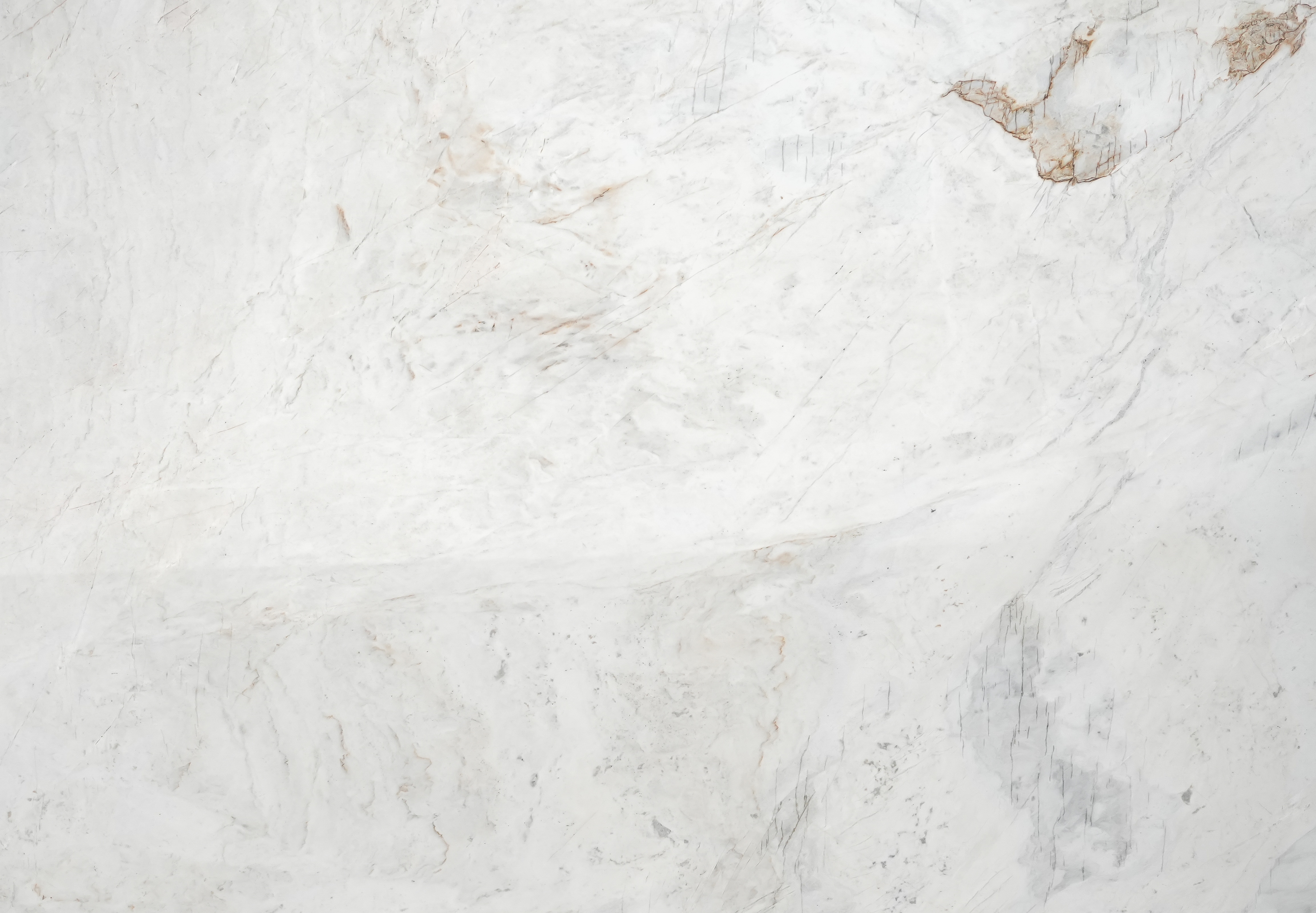 Michelangelo Prime Dolimite