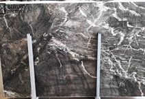 Burgenstock Quartzite
