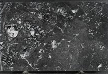 Notre Dame Quartzite